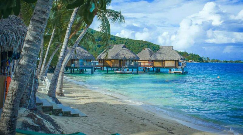 paradise blue